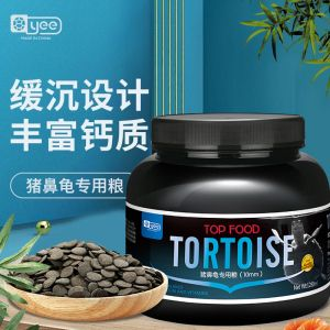 豬鼻龜養(yǎng)多久成年可以吃飼料