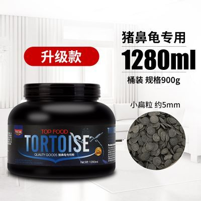 豬鼻龜養(yǎng)多久成年可以吃飼料