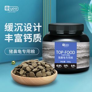 豬鼻龜養(yǎng)多久成年可以吃飼料