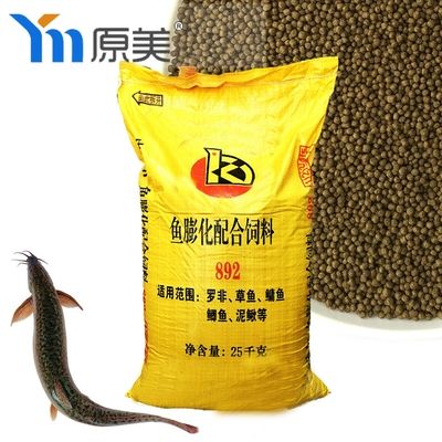 魚病的識別與防治，保障水產健康的關鍵措施，魚病識別與防治，確保水產健康的核心策略