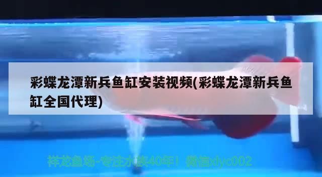 彩蝶龍潭新兵魚缸安裝視頻(彩蝶龍潭新兵魚缸全國代理) 彩蝶龍潭新兵魚缸安裝視頻(彩蝶龍潭新兵魚缸全國代理) 黃金貓魚百科 第3張
