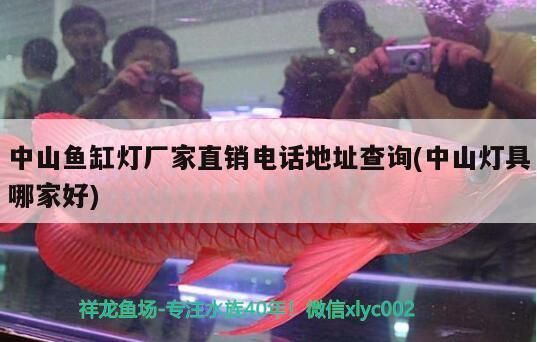 中山魚缸燈廠家直銷電話地址查詢(中山燈具哪家好) 中山魚缸燈廠家直銷電話地址查詢(中山燈具哪家好) 元寶鳳凰魚百科 第3張