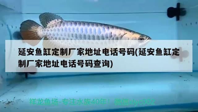 詳細(xì)閱讀:紅龍魚(yú)大湖魚(yú)能吃嗎有毒嗎:紅龍魚(yú)和大湖魚(yú)是否適宜食用及是否有毒的問(wèn)題 紅龍魚(yú)大湖魚(yú)能吃嗎有毒嗎:紅龍魚(yú)和大湖魚(yú)是否適宜食用及是否有毒的問(wèn)題