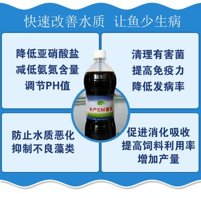 魟魚背上有白色分泌物是什么：魟魚背上有白色分泌物是什么[需手動填充]魚背上有白色分泌物是什么