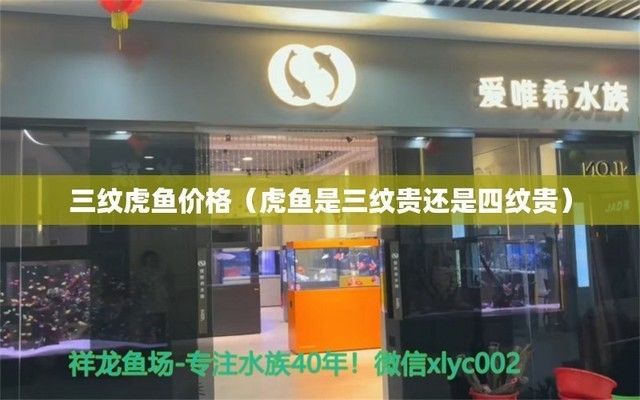 四紋虎魚飼料品牌對比，四紋虎魚飼料怎么選