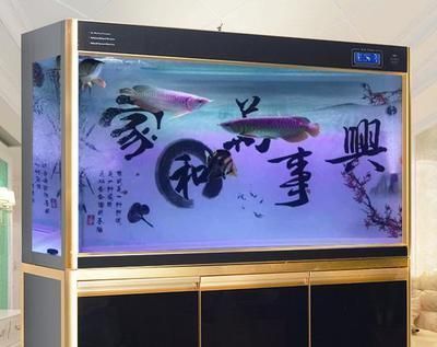 紅龍魚缸用什么背景好看又好養，紅龍魚缸背景選擇技巧紅龍魚缸底色搭配技巧