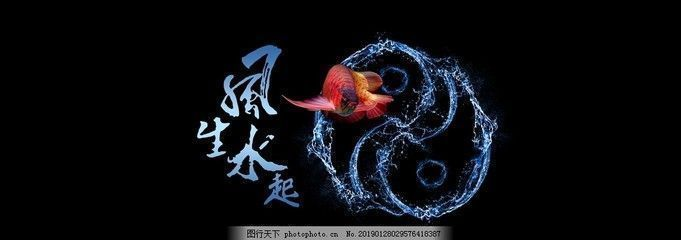 紅龍魚缸用什么背景好看又好養，紅龍魚缸背景選擇技巧紅龍魚缸底色搭配技巧
