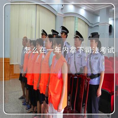 買一只豬鼻龜被判一年半怎么辦：豬鼻龜被判處五年以下有期徒刑或拘役，處五年以下有期徒刑或拘役