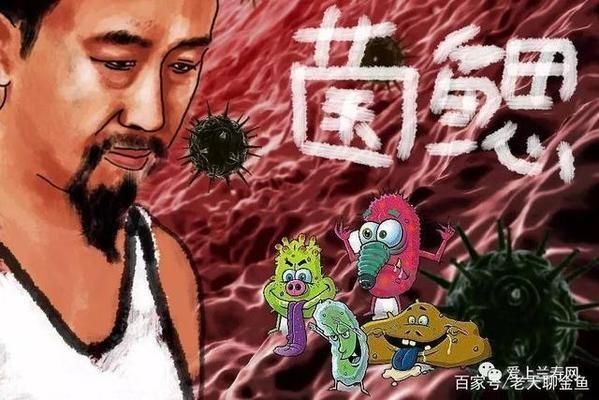 黃金貓魚(yú)爛鰓病的自然療法（治療黃金貓魚(yú)爛鰓病的方法） 黃金貓魚(yú)爛鰓病的自然療法（治療黃金貓魚(yú)爛鰓病的方法） 黃金貓魚(yú)百科 第6張