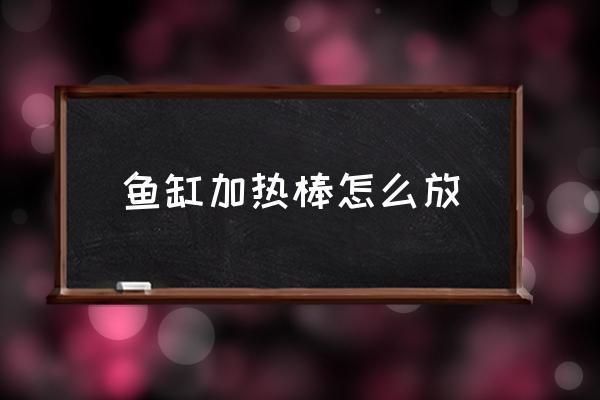 龍魚缸加熱棒擺放示意圖，龍魚缸加熱棒品牌推薦，魚缸循環泵選型指南，