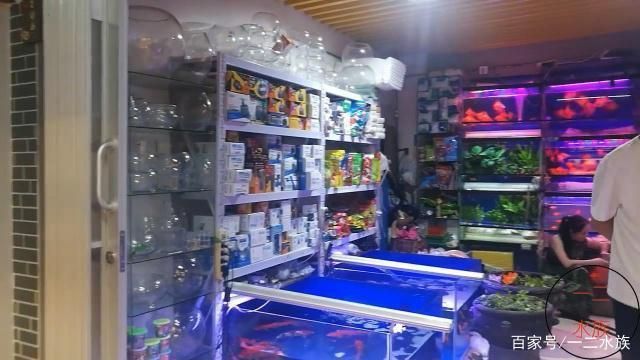 水族館開業做什么活動賺錢（水族館開業之際舉辦吸引人的活動）