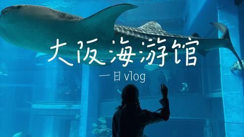 水族館vlog（水族館vlog拍攝技巧分享水族館vlog熱門話題）