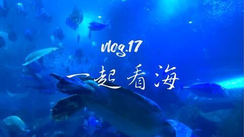 水族館vlog（水族館vlog拍攝技巧分享水族館vlog熱門話題）