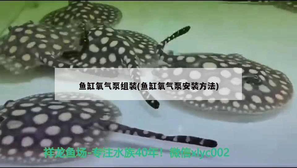 海缸用什么魚缸最好 海缸用什么牌子的比較