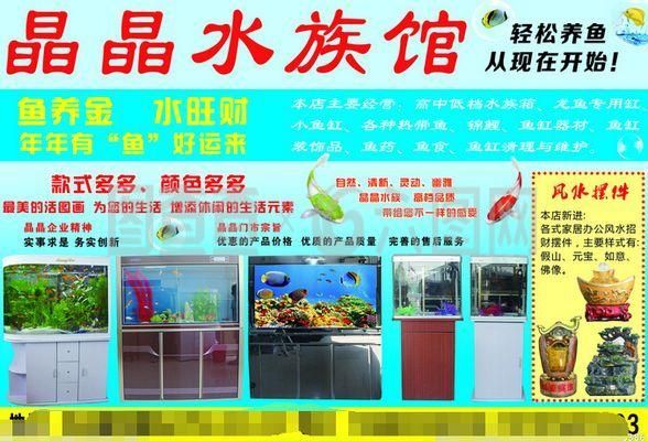 水族館里一般都有什么魚(水族館的魚類種類) 水族館百科(水族館加盟) 第2張 水族館里一般都有什么魚(水族館的魚類種類) 水族館里一般都有什么魚(水族館的魚類種類) 水族館百科(水族館加盟) 第2張