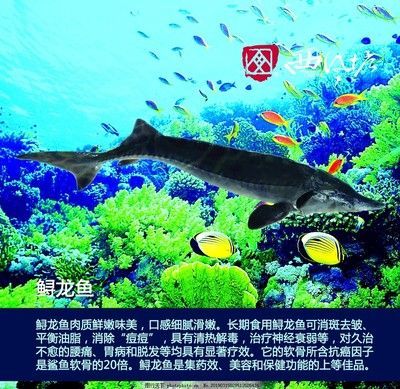 水族館里一般都有什么魚(水族館的魚類種類) 水族館百科(水族館加盟) 第4張 水族館里一般都有什么魚(水族館的魚類種類) 水族館里一般都有什么魚(水族館的魚類種類) 水族館百科(水族館加盟) 第4張