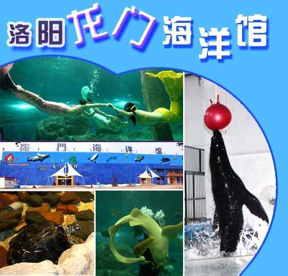 水族館里一般都有什么魚(水族館的魚類種類) 水族館百科(水族館加盟) 第6張 水族館里一般都有什么魚(水族館的魚類種類) 水族館里一般都有什么魚(水族館的魚類種類) 水族館百科(水族館加盟) 第6張