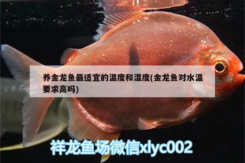 養金龍魚最適宜的溫度和濕度(金龍魚對水溫要求高嗎)