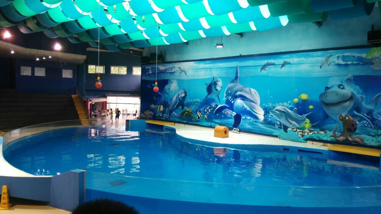 開一家水族館一年掙多少錢啊（開一家水族館一年的收入如何？）