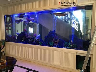寧波魚缸sianlon祥龍魚場