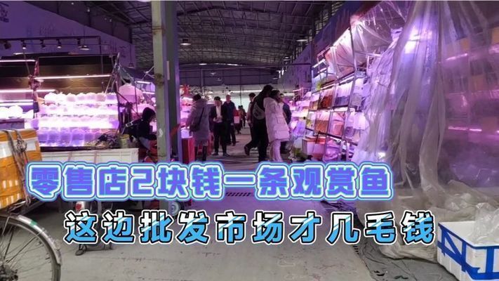 水族館批發(fā)市場(chǎng)（南寧水族批發(fā)市場(chǎng)）