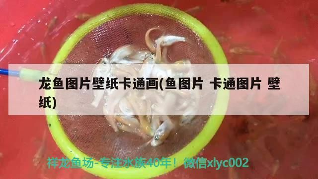龍魚圖片壁紙卡通畫(魚圖片卡通圖片壁紙) 錦鯉魚百科 第3張 龍魚圖片壁紙卡通畫(魚圖片卡通圖片壁紙) 龍魚圖片壁紙卡通畫(魚圖片卡通圖片壁紙) 錦鯉魚百科 第3張