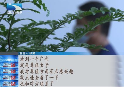 元寶鳳凰吃蛋白蟲嗎：元寶鳳凰的食物種類比較雜，幾乎什么食物都可以吃