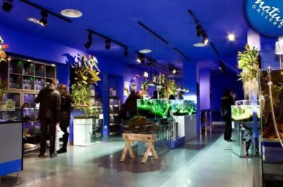 水族館加盟條件及費(fèi)用多少錢(qián)啊(-加盟水族館加盟條件需要滿足特定條件和支付費(fèi)用) 水族館百科(水族館加盟) 第6張 水族館加盟條件及費(fèi)用多少錢(qián)啊(-加盟水族館加盟條件需要滿足特定條件和支付費(fèi)用) 水族館加盟條件及費(fèi)用多少錢(qián)啊(-加盟水族館加盟條件需要滿足特定條件和支付費(fèi)用) 水族館百科(水族館加盟) 第6張