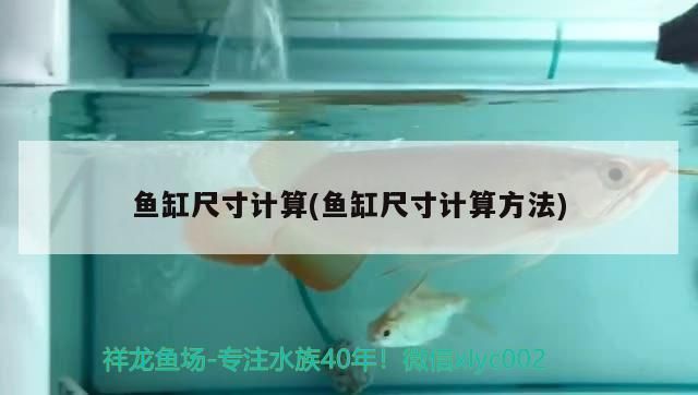 魚(yú)缸尺寸計(jì)算(魚(yú)缸尺寸計(jì)算方法)