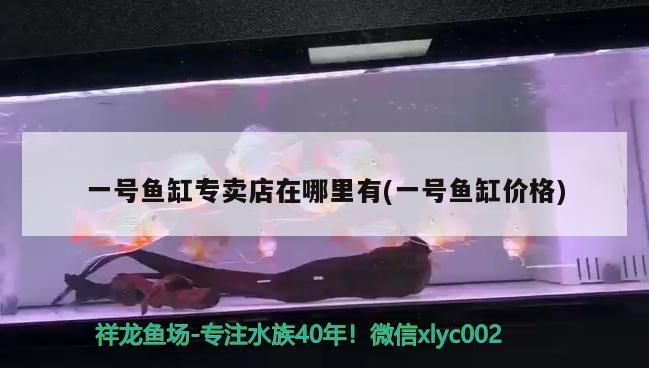 一號魚缸專賣店在哪里有(一號魚缸價(jià)格)