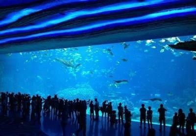 建一個水族館多少錢人民幣（水族館成本控制方法）