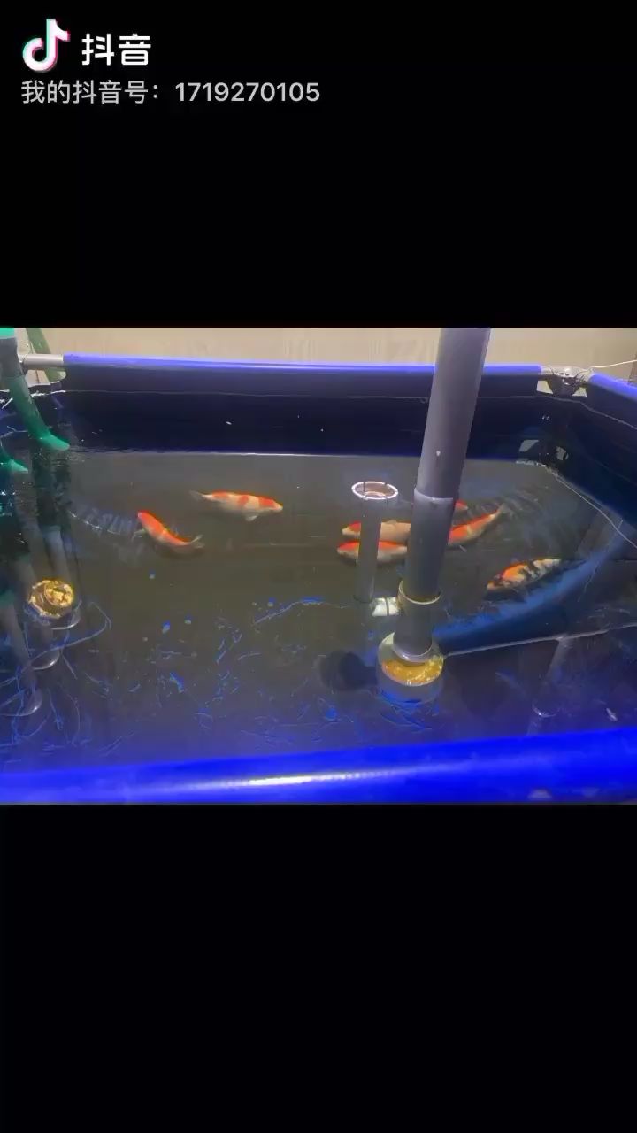 洗個沉淀