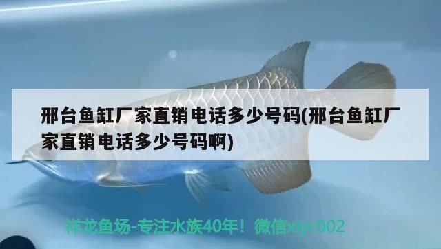 邢臺魚缸廠家直銷電話多少號碼(邢臺魚缸廠家直銷電話多少號碼啊) 邢臺魚缸廠家直銷電話多少號碼(邢臺魚缸廠家直銷電話多少號碼啊) 元寶鳳凰魚百科 第2張