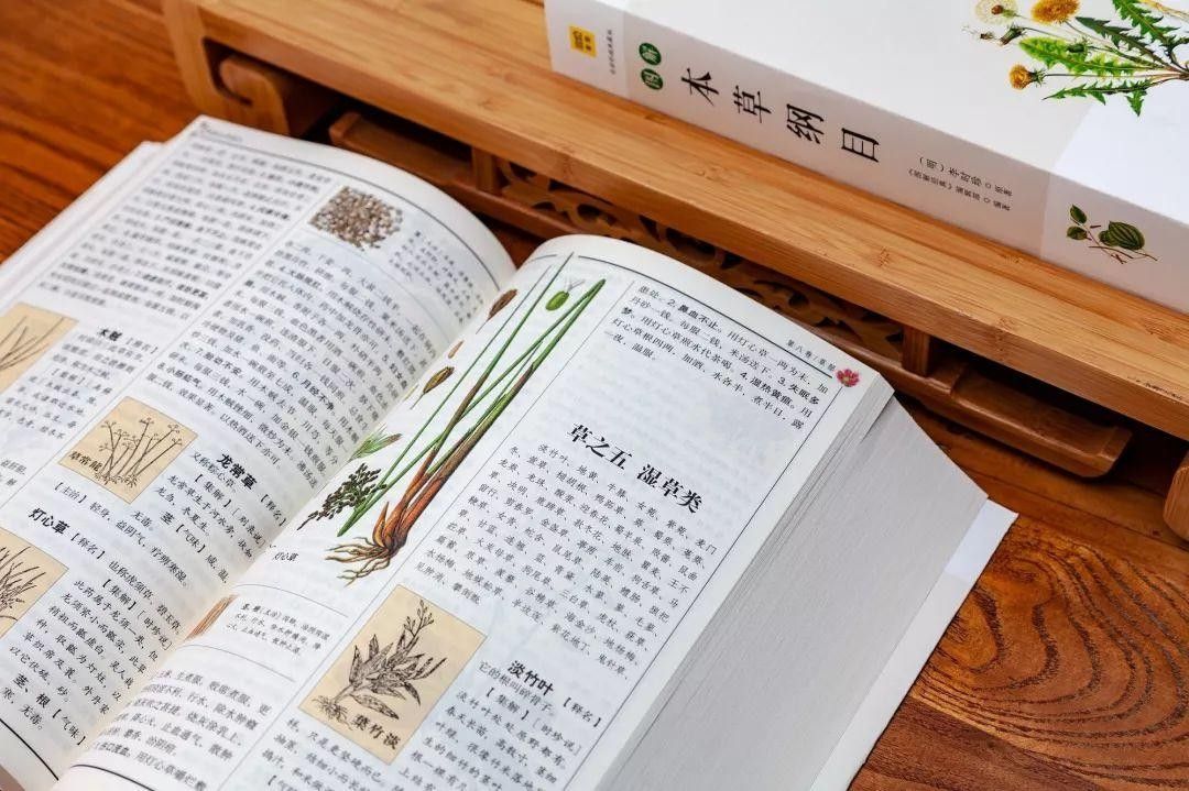 龍魚的藥海洋本草