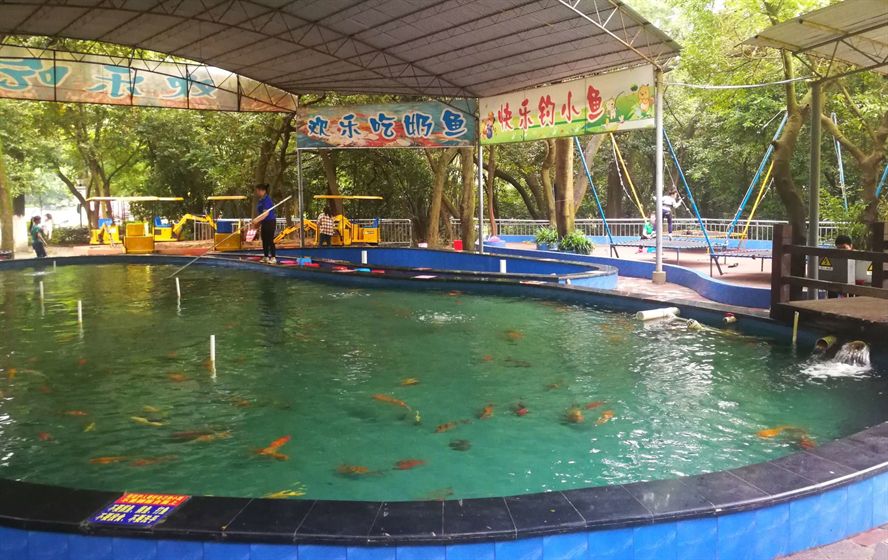 水族館兒童釣魚（水族館兒童釣魚活動對兒童的認知發展的影響）