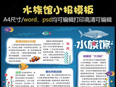 水族館賣什么（水族館工藝品購買指南：水族館工藝品購買指南）
