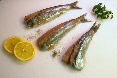 祥龍濾材在家庭水族箱的應用 祥龍濾材在家庭水族箱的應用 水族館百科（水族館加盟） 第3張
