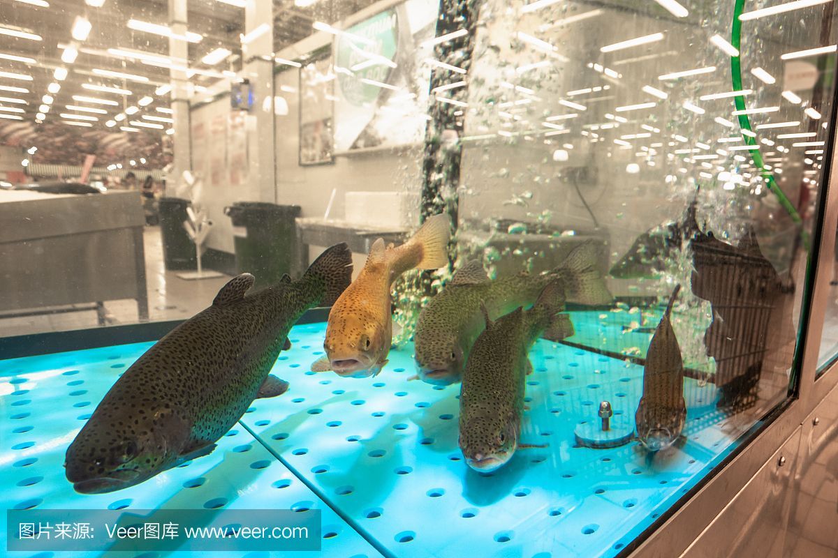 水族館主營(水族館主營詳情) 水族館百科(水族館加盟) 第5張 水族館主營(水族館主營詳情) 水族館主營(水族館主營詳情) 水族館百科(水族館加盟) 第5張