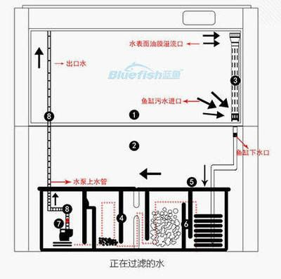 魚(yú)缸三合一過(guò)濾器工作原理是什么，三合一過(guò)濾器如何選擇