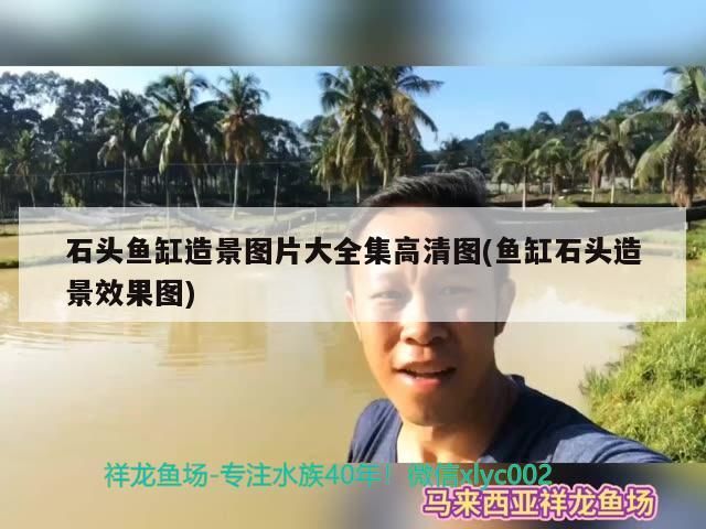 石頭魚缸造景圖片大全集高清圖(魚缸石頭造景效果圖)