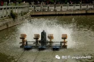 印尼圣塔倫大湖龍魚怎么樣啊（圣塔倫大湖紅龍） 印尼圣塔倫大湖龍魚怎么樣啊（圣塔倫大湖紅龍） 大湖紅龍魚百科 第3張