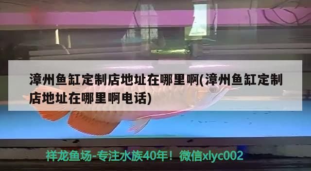 漳州魚缸定制店地址在哪里啊(漳州魚缸定制店地址在哪里啊電話)