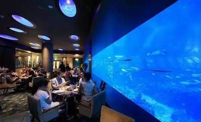 現在水族館生意怎么樣（水族館創業成功案例,水族館環保教育項目智能化管理方案）
