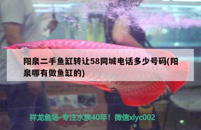 陽泉二手魚缸轉讓58同城電話多少號碼(陽泉哪有做魚缸的) 陽泉二手魚缸轉讓58同城電話多少號碼(陽泉哪有做魚缸的) 黃金貓魚百科 第3張
