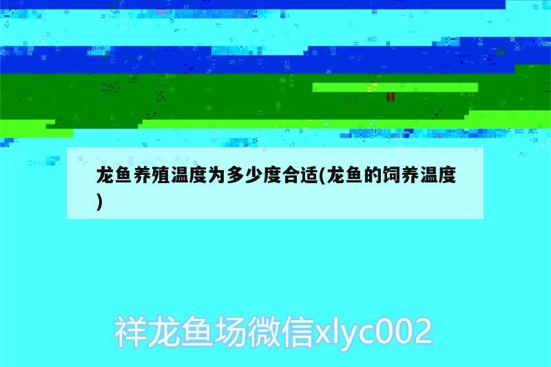 龍魚養殖溫度為多少度合適(龍魚的飼養溫度) 龍魚養殖溫度為多少度合適(龍魚的飼養溫度) 黃金貓魚百科 第3張