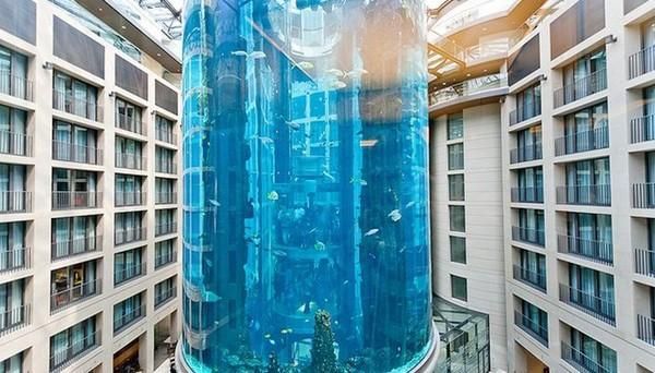 大氣的水族館名字（大氣中的水族館名字）