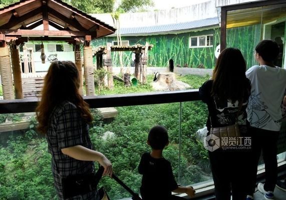 水族館幾點關門（關于水族館的關閉時間）