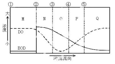 哪里有魚缸馬桶條買?。?哪里有魚缸馬桶條買啊圖片）