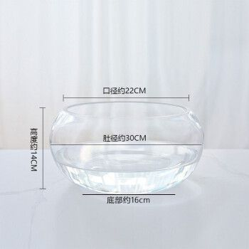 萌嘟星寵魚缸，萌嘟星寵魚缸智能功能介紹萌嘟星寵魚缸的維護(hù)技巧 萌嘟星寵魚缸，萌嘟星寵魚缸智能功能介紹萌嘟星寵魚缸的維護(hù)技巧 魚缸百科 第2張