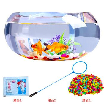萌嘟星寵魚缸，萌嘟星寵魚缸智能功能介紹萌嘟星寵魚缸的維護(hù)技巧 萌嘟星寵魚缸，萌嘟星寵魚缸智能功能介紹萌嘟星寵魚缸的維護(hù)技巧 魚缸百科 第3張
